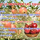 https://pomefarm.co.kr/shop/data/cheditor4/1510/thumb-gSpbXrErDD8XuqhGZ3Y9xfmSvg8lKlw_80x80.jpg