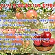 https://pomefarm.co.kr/shop/data/cheditor4/1511/thumb-r3TYQNoEbHmW1EKJBwCl727WSqbf_80x80.jpg